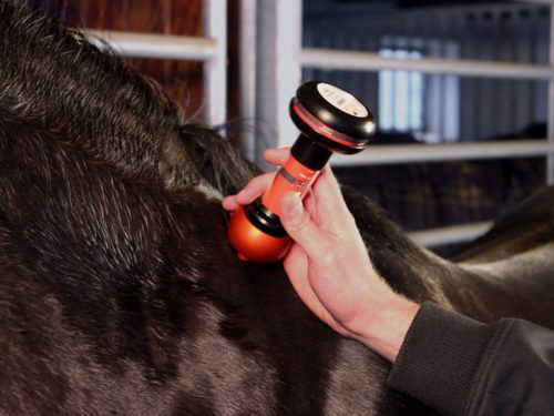 Energy-Laser L2000 Pro softlaser