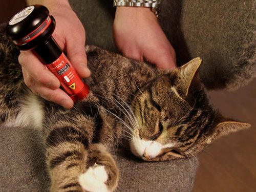 Energy-Laser L500 Pro softlaser