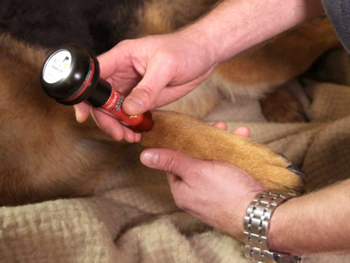 Energy-Laser L500 Pro softlaser