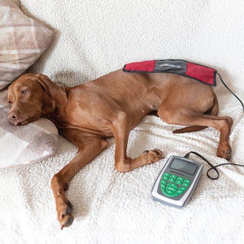 MagnetoVet 200 veterinaire magneettherapie-apparaat