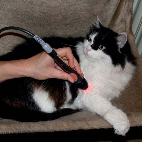 LaserVet 1.0 veterinaire laser