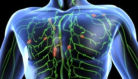 Lymfeklierzwelling: van symptomen tot genezing